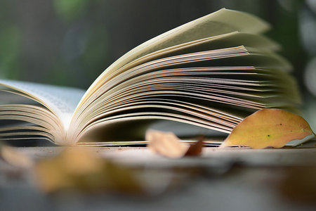 西安交大專業碩士入學考試