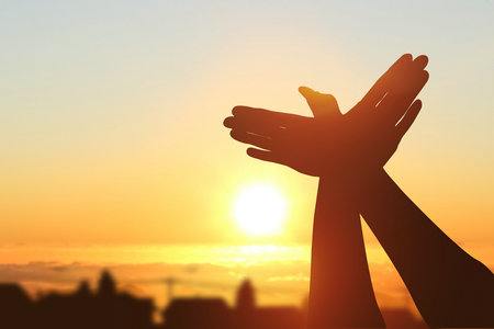 陜西同等學(xué)力