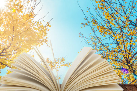 學(xué)前教育學(xué)同等學(xué)力報(bào)考條件