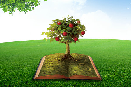 報考江西在職研究生需要多少錢？