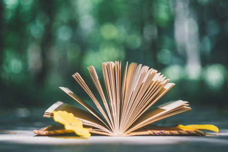 在職考研考試時間