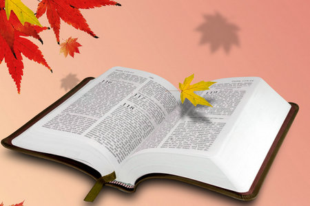 吉林同等學力申碩考試科目