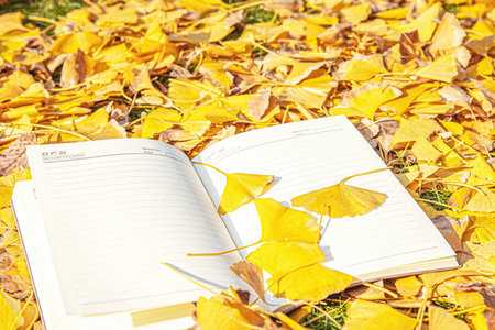 研修班和在職研究生區別