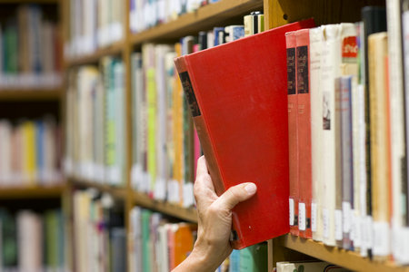 在職研究生作用