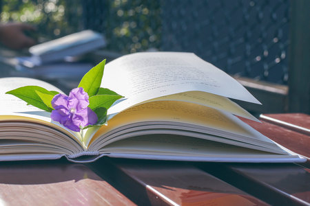 技術經濟及管理在職研究生報名及考試時間