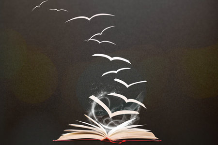 體育學在職研究生報名及考試時間 體育學在職研究生報名及考試時間