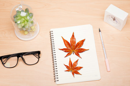 浙江財經大學非全日制研究生報考條件2025年