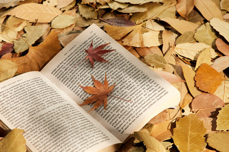 燕山大學MBA調劑