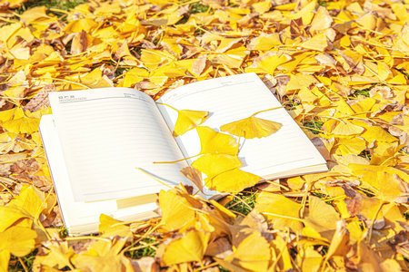 齊魯工業大學非全日制研究生調劑時間一般什么時候