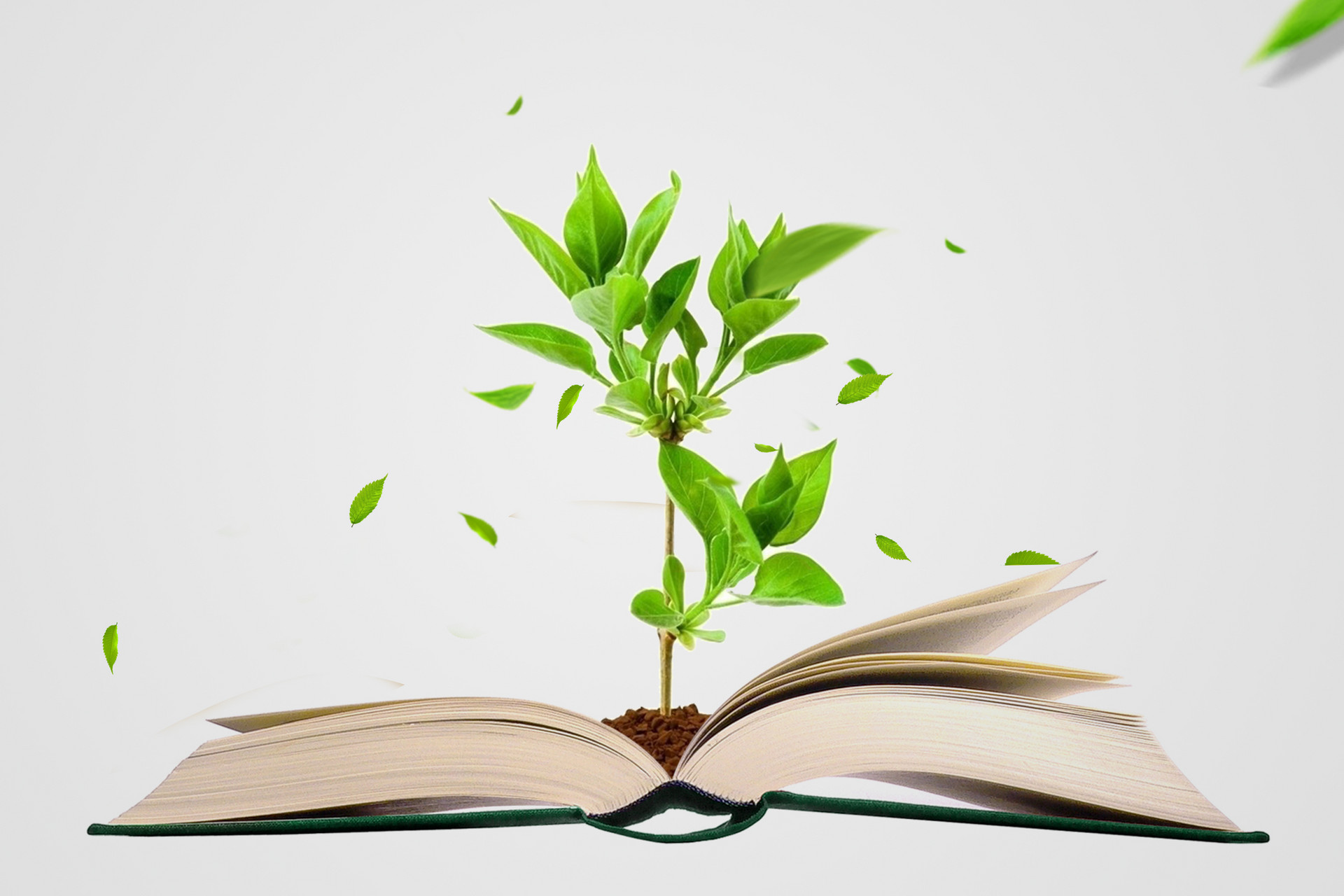 心理學(xué)在職研究生