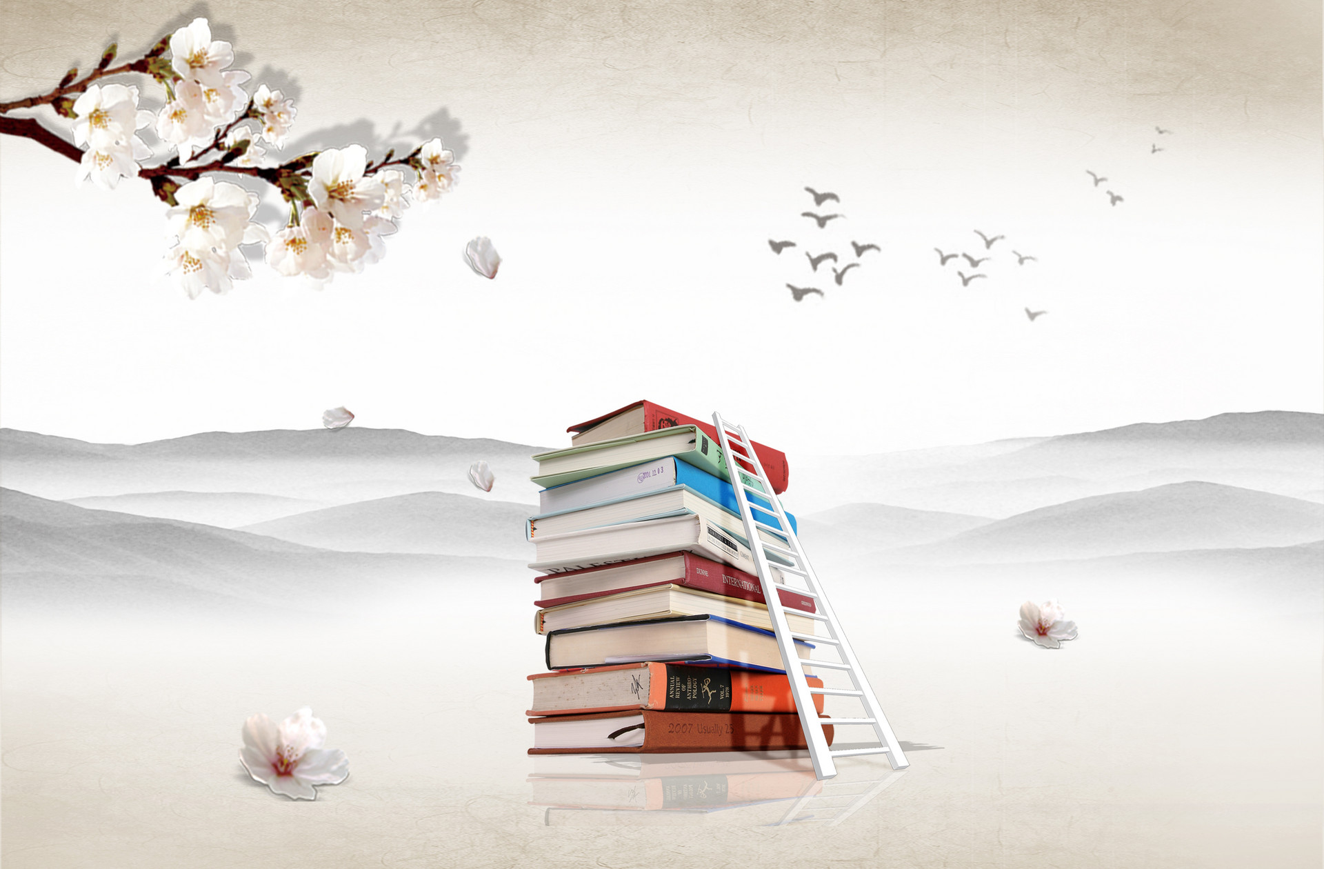 財(cái)政學(xué)在職研究生