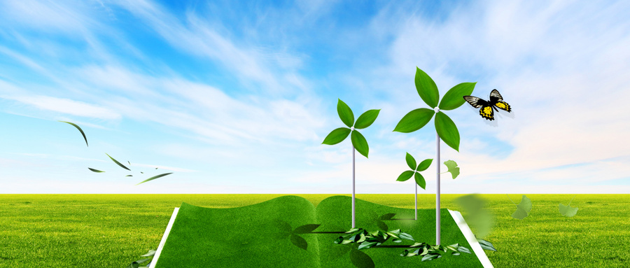 小學教育在職研究生招生類型