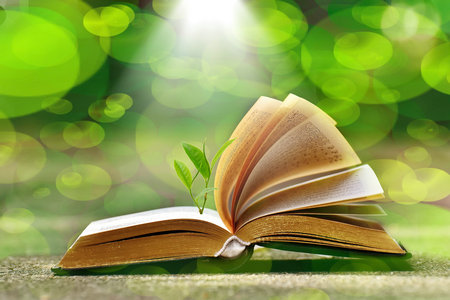 河南財經政法大學同等學力招生人群