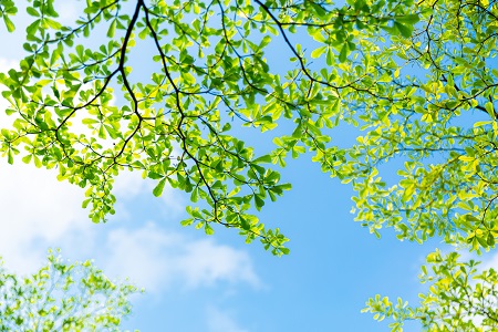 類型詳解！河南財經(jīng)政法大學(xué)在職研究生招生類型