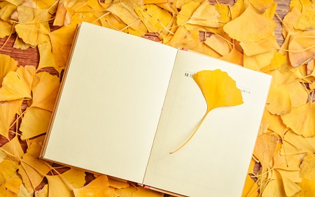 河南財經政法大學在職研究生兩大招生人群