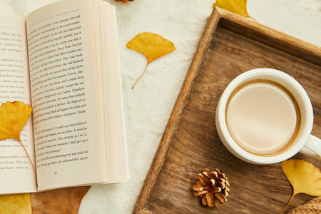 國際貿易經濟合作研究院在職研究生招生類型