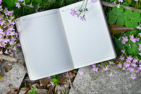 湖北工業(yè)大學在職研究生動力工程碩士招生信息