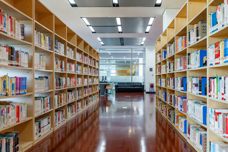 武漢工程大學同等學力可以網絡學習