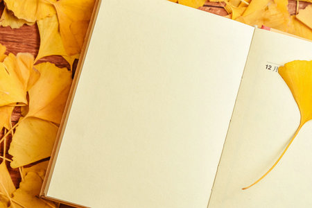 吉林大學國際政治在職研究生學費