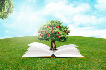 天津科技大學輕工技術與工程非全日制研究生考試通過率 天津科技大學輕工技術與工程非全日制研究生考試通過率