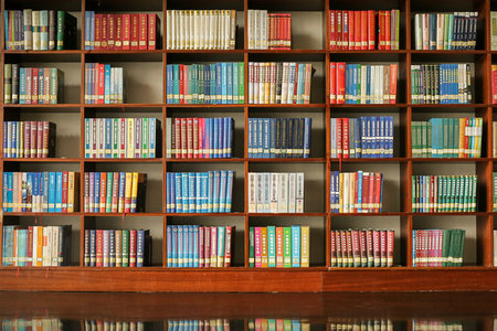 重慶師范大學同等學力申碩招生專業