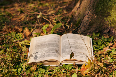 法國諾曼底管理學院國際博士報名及考試時間