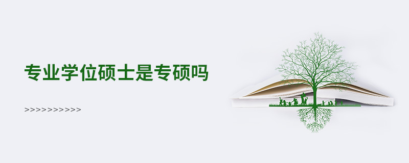 專業學位碩士是專碩嗎