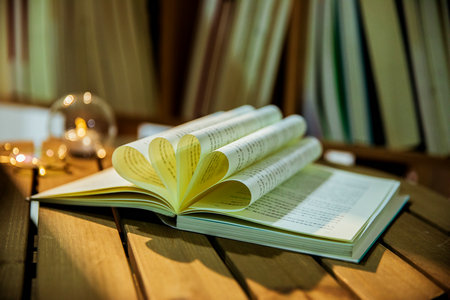 寧波大學在職研究生小學教育碩士招生詳情