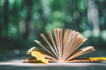 2024年對外經濟貿易大學在職研究生審計碩士招生條件